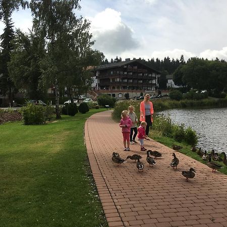 Fewo Andresen Hahnenklee Goslar Dış mekan fotoğraf