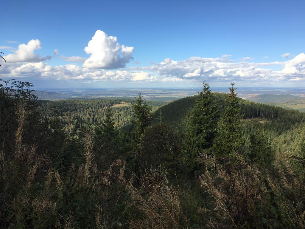 Fewo Andresen Hahnenklee Goslar Dış mekan fotoğraf