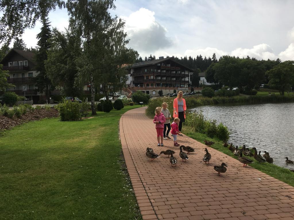 Fewo Andresen Hahnenklee Goslar Dış mekan fotoğraf